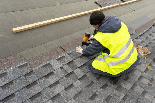 Best Flat Roof Repair Services  in Trenton, MI
