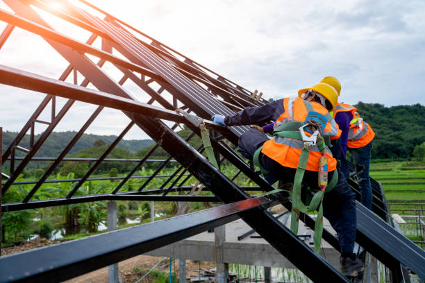 Best Roof Maintenance Services  in Trenton, MI