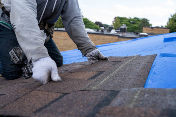 Roof Repair Estimates in Trenton, MI