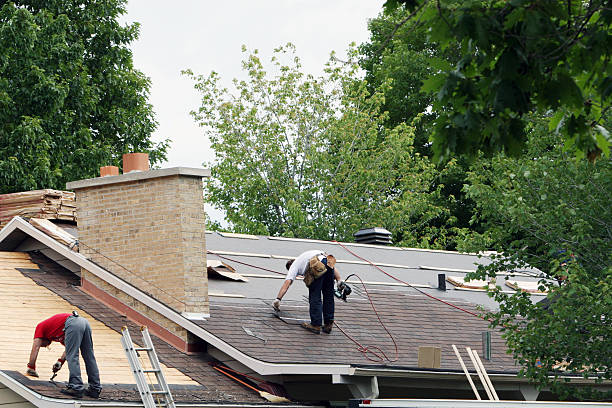 Best Best Roofing Contractors  in Trenton, MI