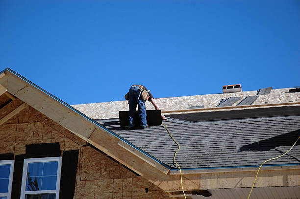 Best Affordable Roofing Company  in Trenton, MI