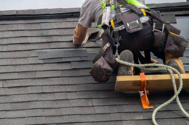 Best Tile Roofing Contractor  in Trenton, MI