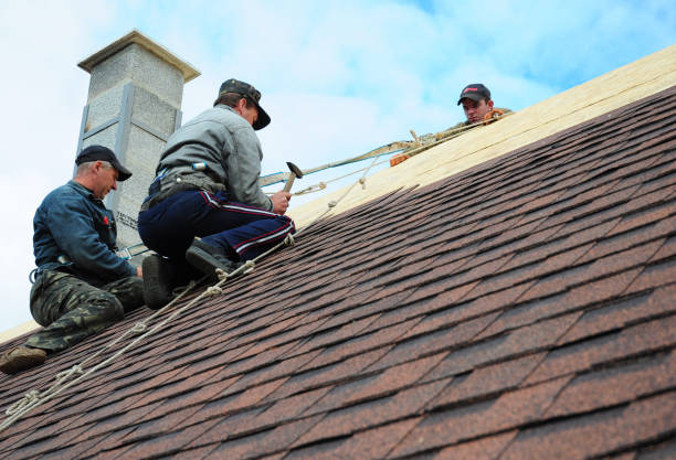 Residential Roof Replacement in Trenton, MI